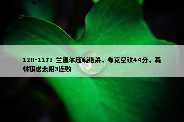 120-117！兰德尔压哨绝杀，布克空砍44分，森林狼送太阳3连败