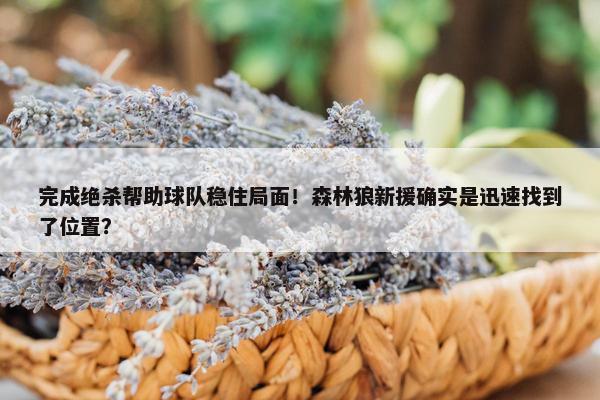 完成绝杀帮助球队稳住局面！森林狼新援确实是迅速找到了位置？