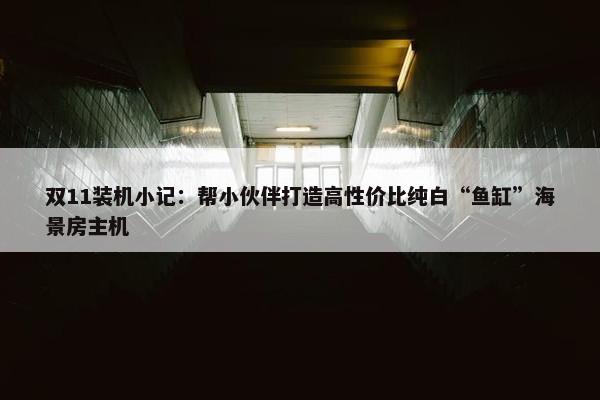 双11装机小记：帮小伙伴打造高性价比纯白“鱼缸”海景房主机