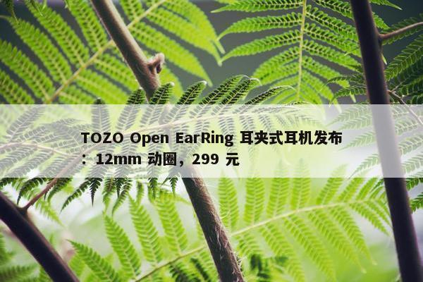 TOZO Open EarRing 耳夹式耳机发布：12mm 动圈，299 元