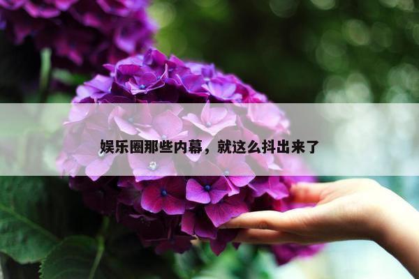 娱乐圈那些内幕，就这么抖出来了