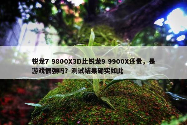 锐龙7 9800X3D比锐龙9 9900X还贵，是游戏很强吗？测试结果确实如此