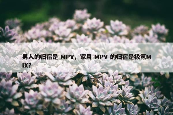 男人的归宿是 MPV，家用 MPV 的归宿是极氪MIX？