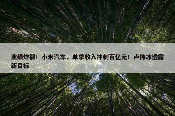 业绩炸裂！小米汽车，单季收入冲刺百亿元！卢伟冰透露新目标