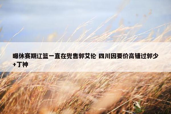 曝休赛期辽篮一直在兜售郭艾伦 四川因要价高错过郭少+丁神