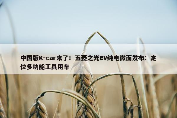 中国版K-car来了！五菱之光EV纯电微面发布：定位多功能工具用车