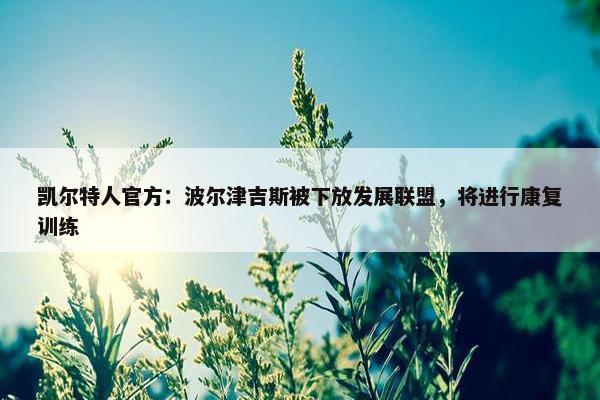 凯尔特人官方：波尔津吉斯被下放发展联盟，将进行康复训练