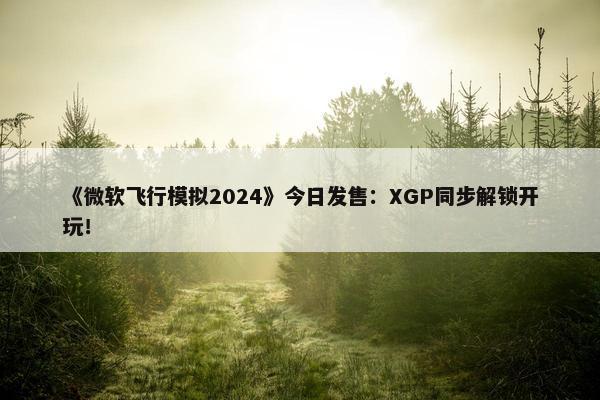 《微软飞行模拟2024》今日发售：XGP同步解锁开玩！