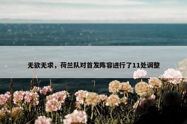 无欲无求，荷兰队对首发阵容进行了11处调整