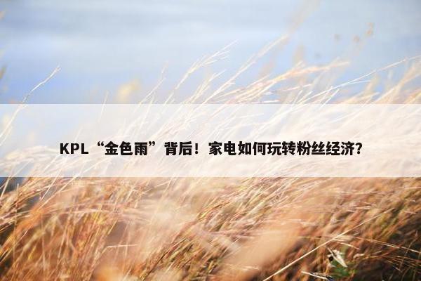 KPL“金色雨”背后！家电如何玩转粉丝经济？