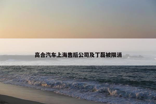 高合汽车上海售后公司及丁磊被限消