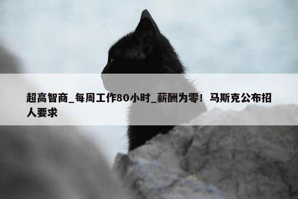 超高智商_每周工作80小时_薪酬为零！马斯克公布招人要求