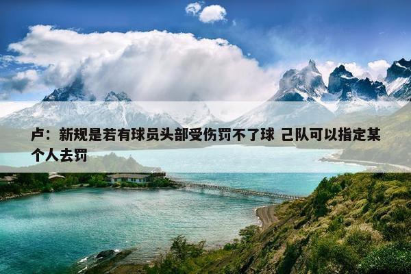 卢：新规是若有球员头部受伤罚不了球 己队可以指定某个人去罚