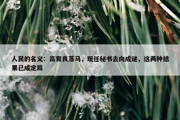 人民的名义：高育良落马，现任秘书去向成谜，这两种结果已成定局