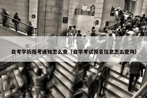 自考学历报考通知怎么查（自学考试报名信息怎么查询）