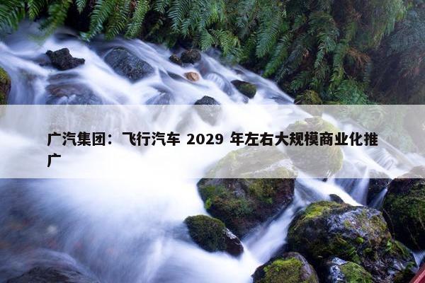 广汽集团：飞行汽车 2029 年左右大规模商业化推广