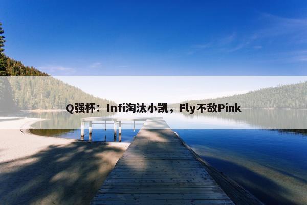 Q强杯：Infi淘汰小凯，Fly不敌Pink