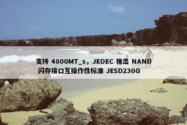 支持 4800MT_s，JEDEC 推出 NAND 闪存接口互操作性标准 JESD230G