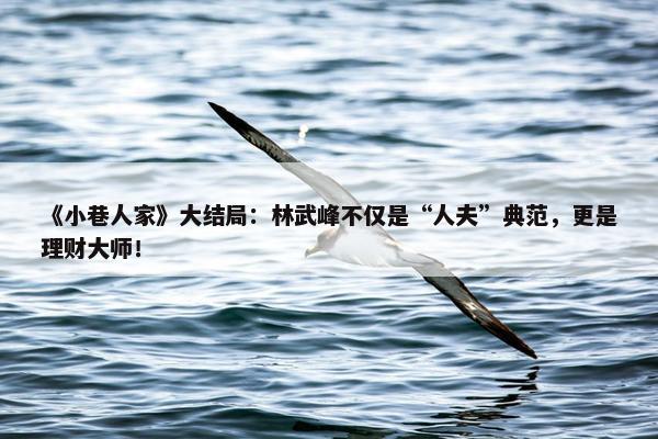 《小巷人家》大结局：林武峰不仅是“人夫”典范，更是理财大师！