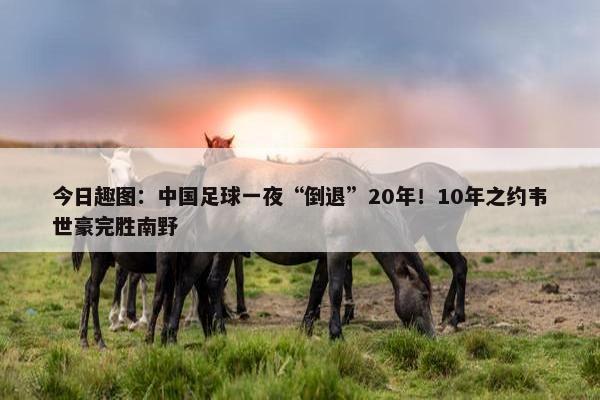 今日趣图：中国足球一夜“倒退”20年！10年之约韦世豪完胜南野