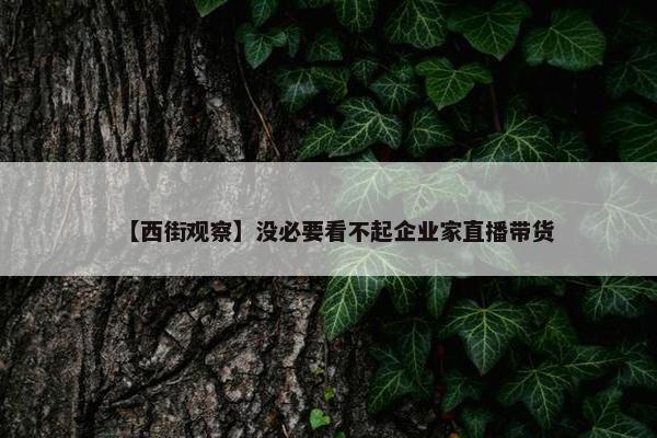 【西街观察】没必要看不起企业家直播带货