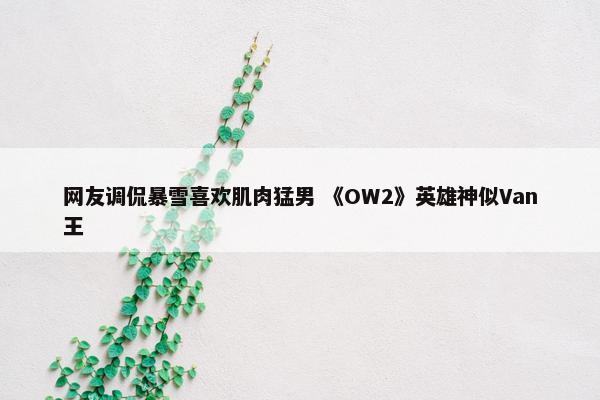 网友调侃暴雪喜欢肌肉猛男 《OW2》英雄神似Van王