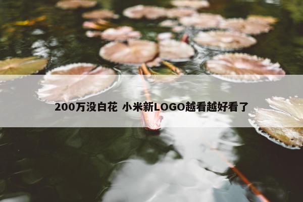 200万没白花 小米新LOGO越看越好看了