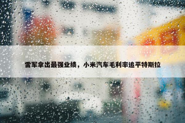 雷军拿出最强业绩，小米汽车毛利率追平特斯拉