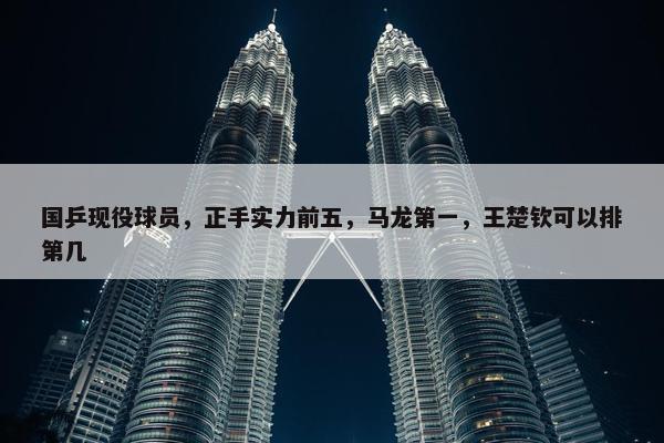 国乒现役球员，正手实力前五，马龙第一，王楚钦可以排第几