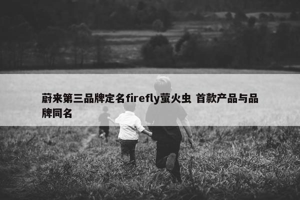 蔚来第三品牌定名firefly萤火虫 首款产品与品牌同名