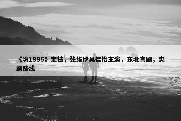 《嗨1995》定档，张维伊吴佳怡主演，东北喜剧，爽剧路线