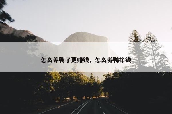 怎么养鸭子更赚钱，怎么养鸭挣钱