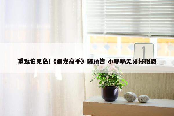 重返伯克岛!《驯龙高手》曝预告 小嗝嗝无牙仔相遇