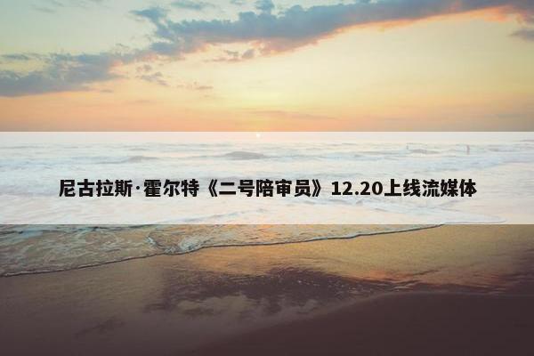 尼古拉斯·霍尔特《二号陪审员》12.20上线流媒体