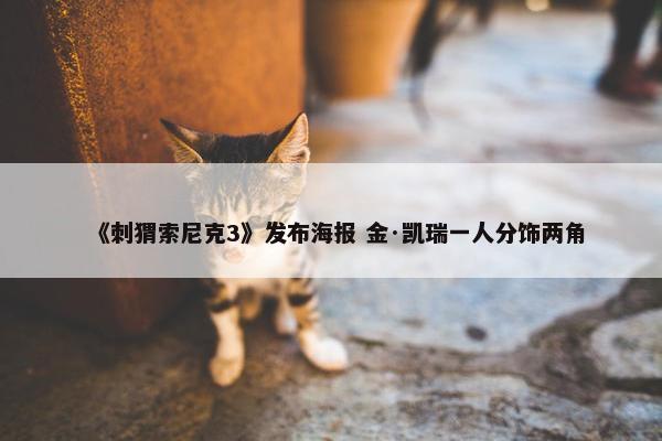 《刺猬索尼克3》发布海报 金·凯瑞一人分饰两角