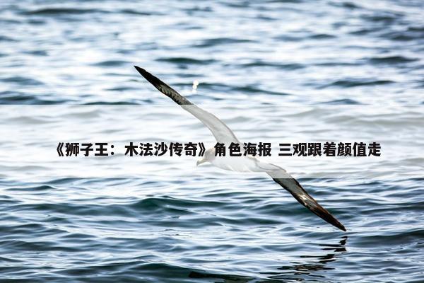 《狮子王：木法沙传奇》角色海报 三观跟着颜值走