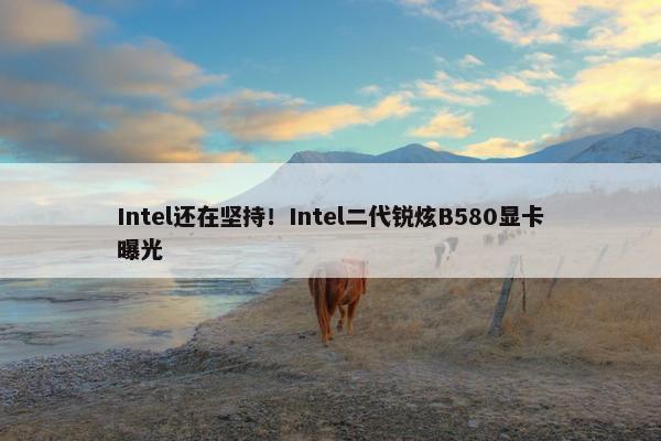 Intel还在坚持！Intel二代锐炫B580显卡曝光