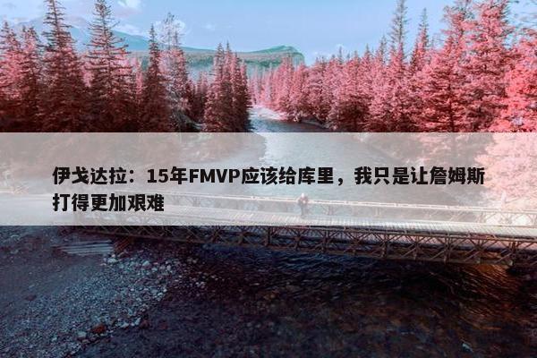 伊戈达拉：15年FMVP应该给库里，我只是让詹姆斯打得更加艰难