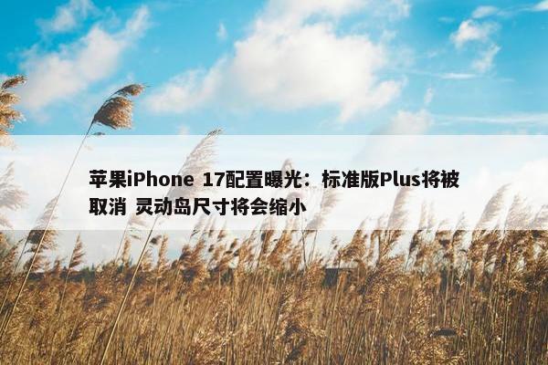 苹果iPhone 17配置曝光：标准版Plus将被取消 灵动岛尺寸将会缩小