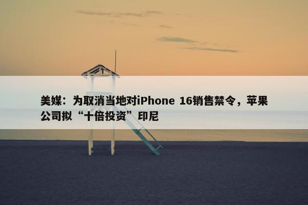 美媒：为取消当地对iPhone 16销售禁令，苹果公司拟“十倍投资”印尼