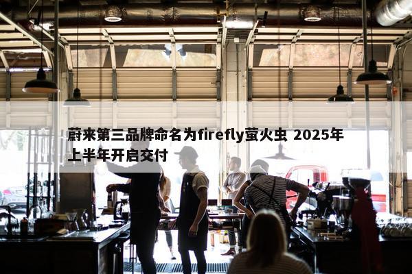 蔚来第三品牌命名为firefly萤火虫 2025年上半年开启交付