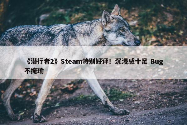 《潜行者2》Steam特别好评！沉浸感十足 Bug不掩瑜