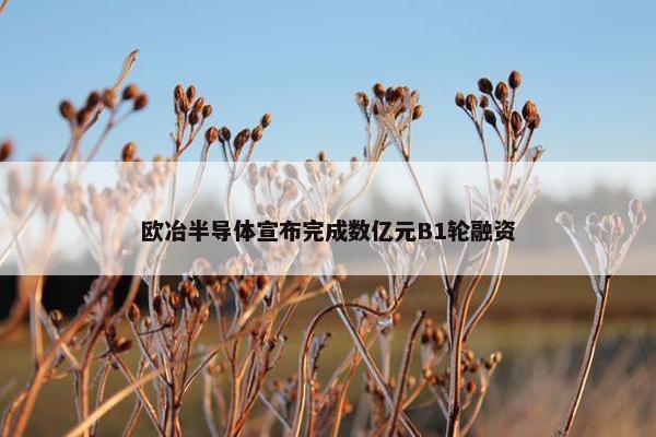 欧冶半导体宣布完成数亿元B1轮融资