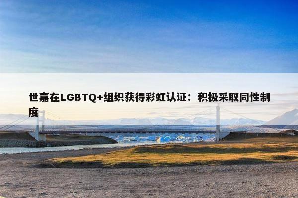 世嘉在LGBTQ+组织获得彩虹认证：积极采取同性制度