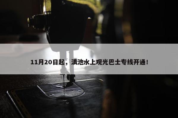 11月20日起，滇池水上观光巴士专线开通！