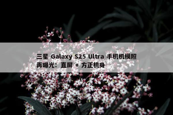 三星 Galaxy S25 Ultra 手机机模照再曝光：直屏 + 方正机身