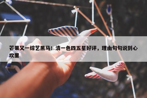 芒果又一综艺黑马！清一色四五星好评，理由句句说到心坎里