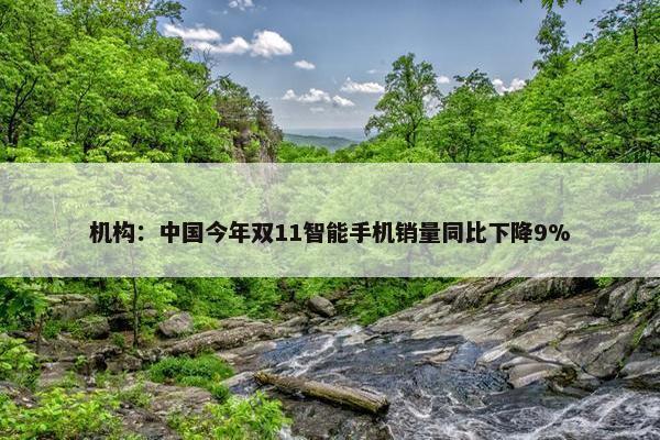 机构：中国今年双11智能手机销量同比下降9%