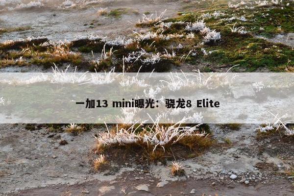 一加13 mini曝光：骁龙8 Elite