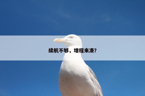 续航不够，增程来凑？